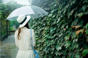 [星力十代手游下载]感情咨询公司排名前十有哪些呢？